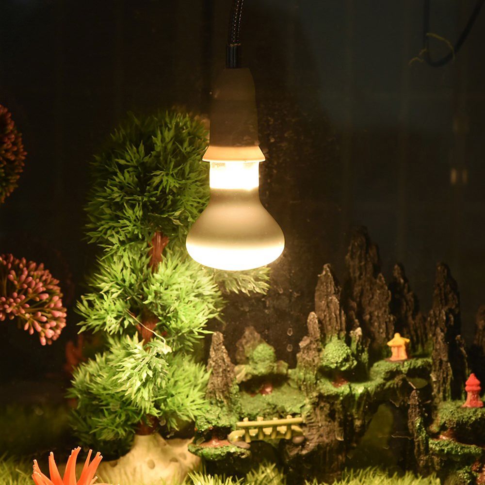 Amphibians Temperature Control - Basking Bulb Halogen review and price