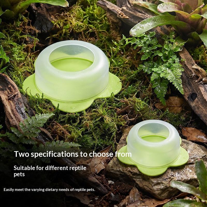 1Pc ABS Reptile Feeding Dish A - Water Dish Reptile review and price