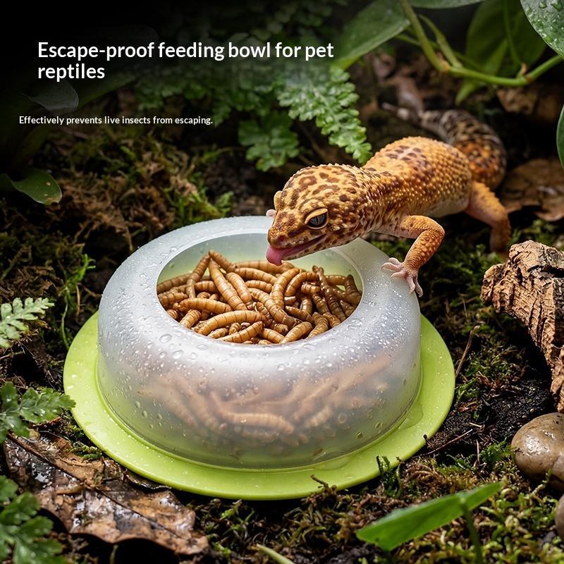 1Pc ABS Reptile Feeding Dish A - Water Dish Reptile review and price